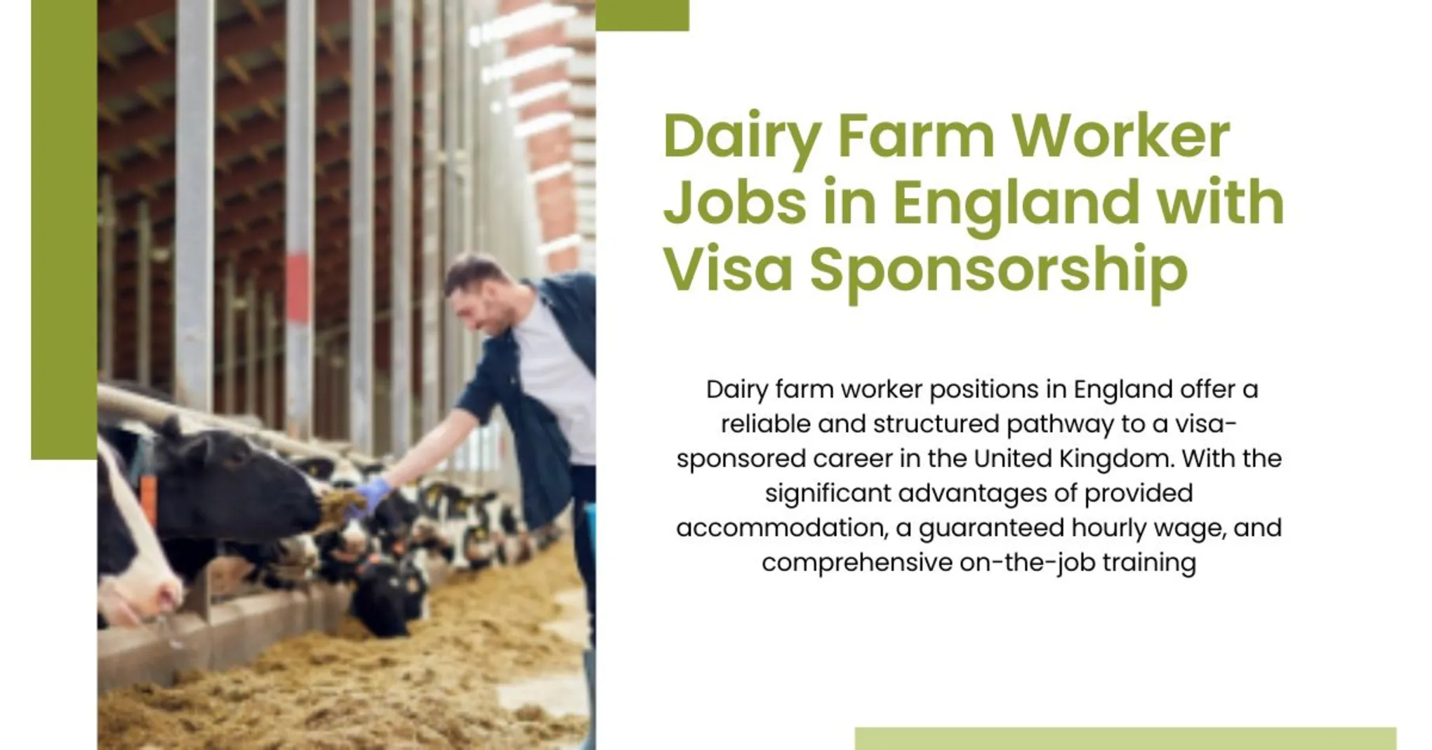 Dairy Farm Worker Jobs in England