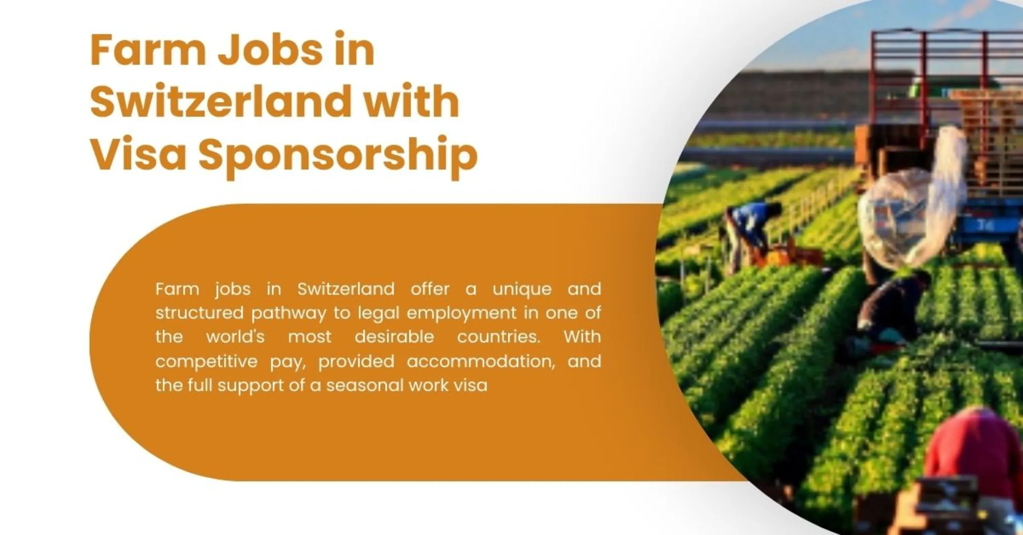 Farm Jobs in Switzerland