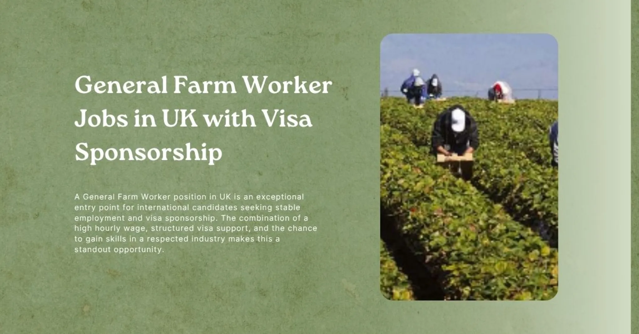 General Farm Worker Jobs in UK