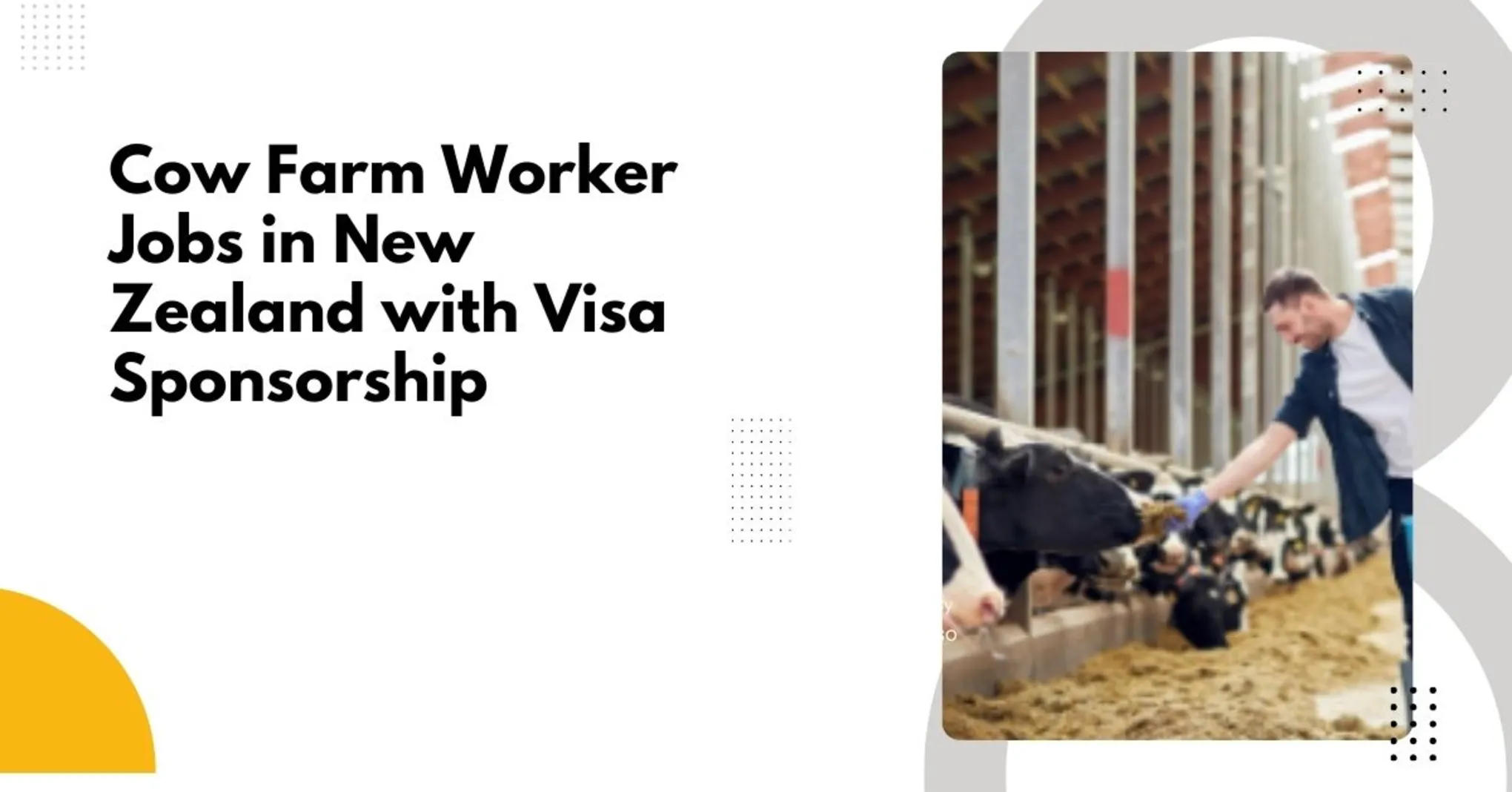 Cow Farm Worker Jobs in New Zealand