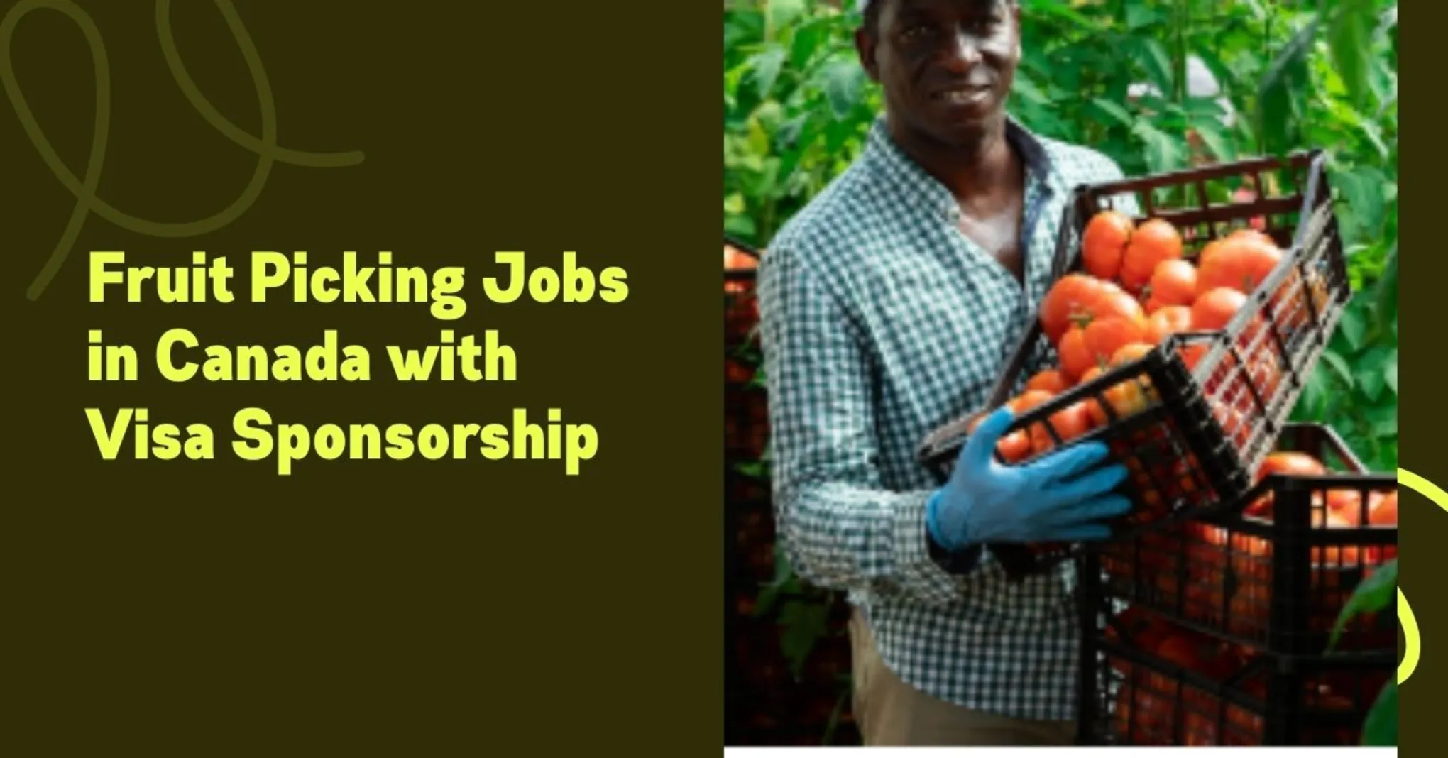 Fruit Picking Jobs in Canada