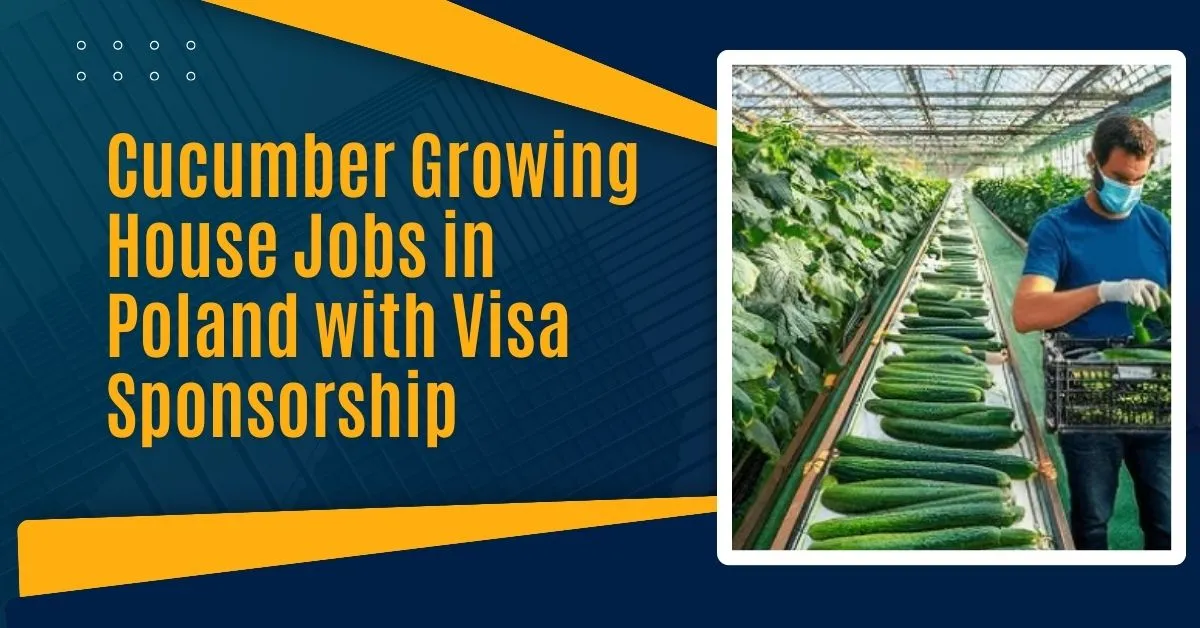 Cucumber Growing House Jobs in Poland