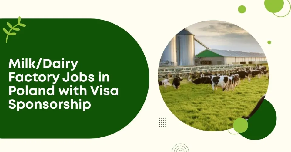 Milk/Dairy Factory Jobs in Poland