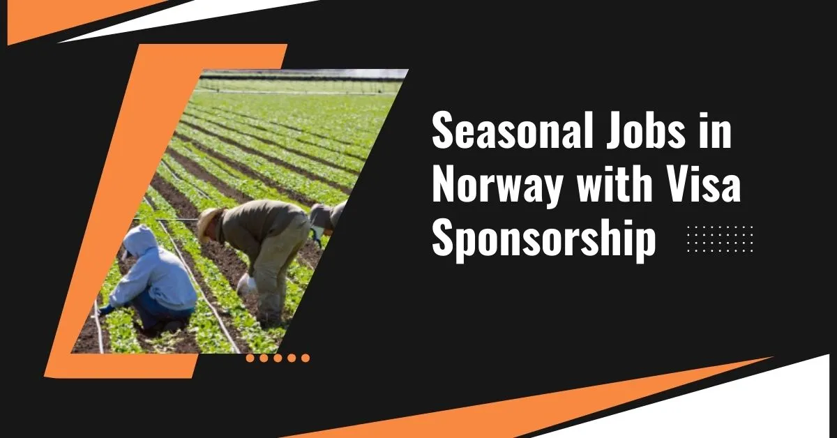 Seasonal Jobs in Norway