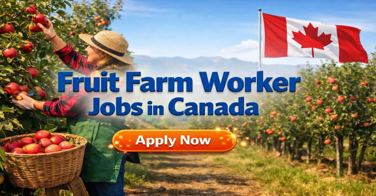 Fruit Farm Worker Jobs in Canada
