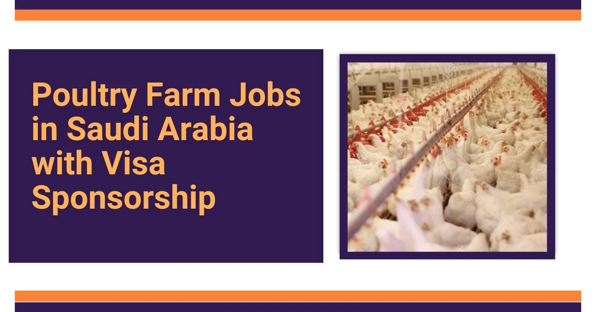 Poultry Farm Jobs in Saudi Arabia