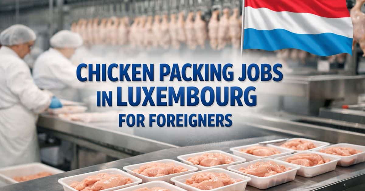 Chicken Packing Jobs in Luxembourg for Foreigners