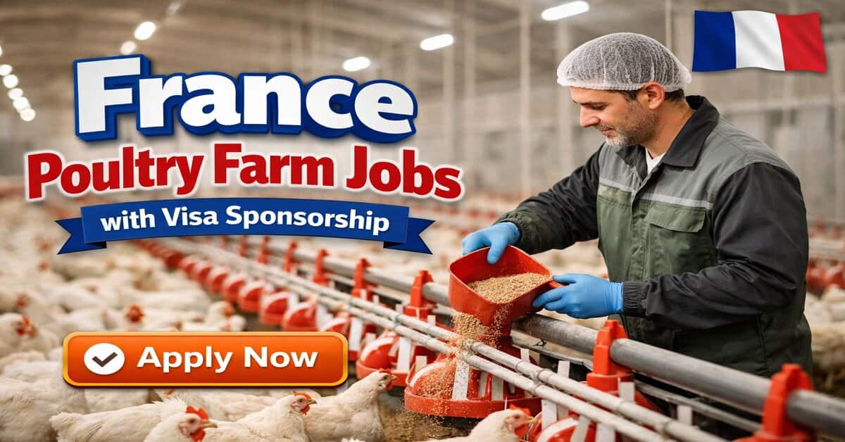 France Poultry Farm Jobs with Visa Sponsorship